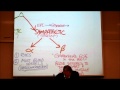 AUTONOMIC DRUGS; PART 3; Alpha & Beta Adrenergic Agonists by Professor Fink