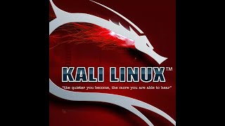 (root@kali)-[~]: Топ утилит Kali Linux для тестирования Wi-Fi сетей