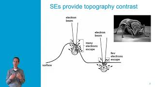Lecture 5-1 Electron detection - SEs