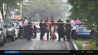 NYPD Officer Dies By Suicide In Queens, 9th This Year