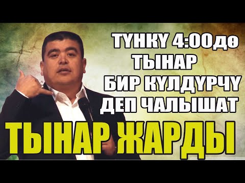 Тынар элдердин боорун эзди//Түнкү 4тө чылып анекдот айтчы дейт ээ