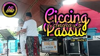 🔰Lagu Bugis Viral🔰Ciccing Passio - Ancha.S🔰Cipt : Ancha.S🔰