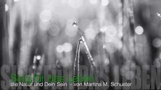 Morning Song - own shee mala hey a ho