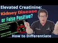 Elevated Creatinine - Kidney Disease or False Positive? How to Differentiate