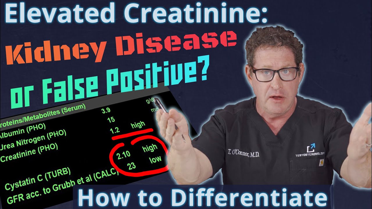 Elevated Creatinine - Kidney Disease or False Positive? How to Differentiate