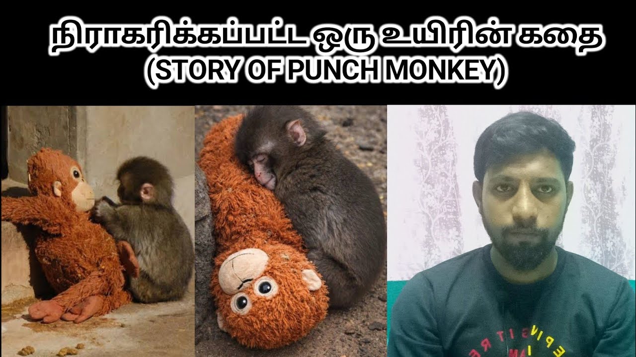 Punch Monkey Story Explained | Tamil | Mohamed Fazil M