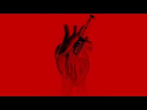 Palo KILLA Ft Ellaborada OFICIAL VISUALIZER 