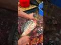 Amazon Big Gonden Crap Fish cutting Video | Fish Cutting video #shorts #shortvideo