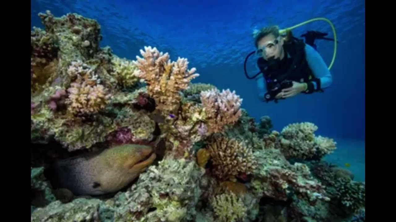 Hurghada: The Best Dive Site in Egypt
