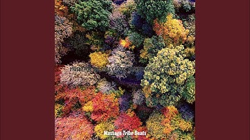 Groovy Backdrops for Spa Hours