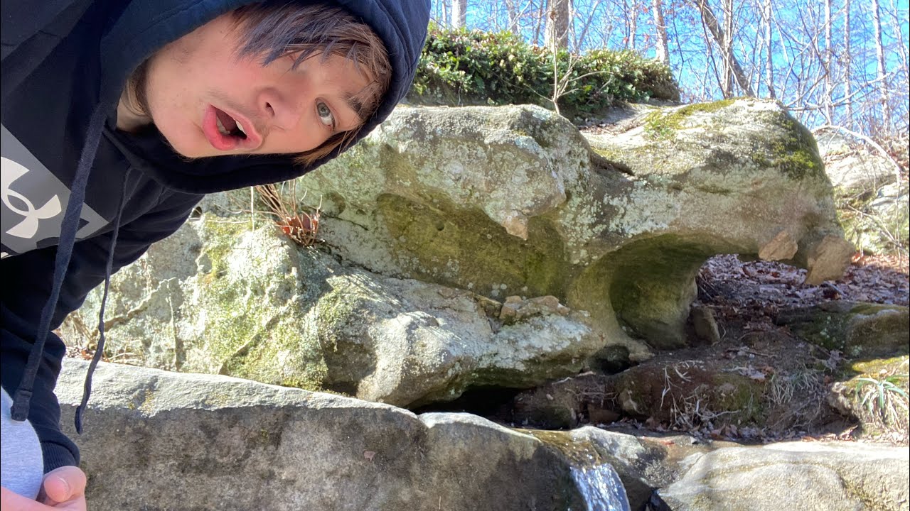 Nature walks part one IL
