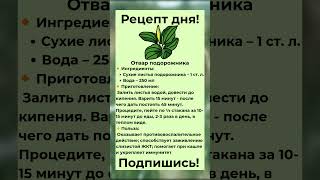 Рецепт дня | Натуральные отвары для всей семьи#здоровье #советы #рецептдня #народнаямедицина#shorts