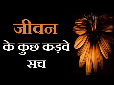 वीडियो: लाँड्री कमरे: उन्हें स्टाइलिश कैसे बनाएं