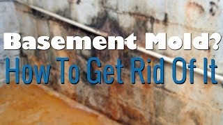 Basement Mold Removal - How To Remove Mold