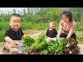 Hien single mom harvesting vegetable go to market sell  cooking meat stuffed gourd