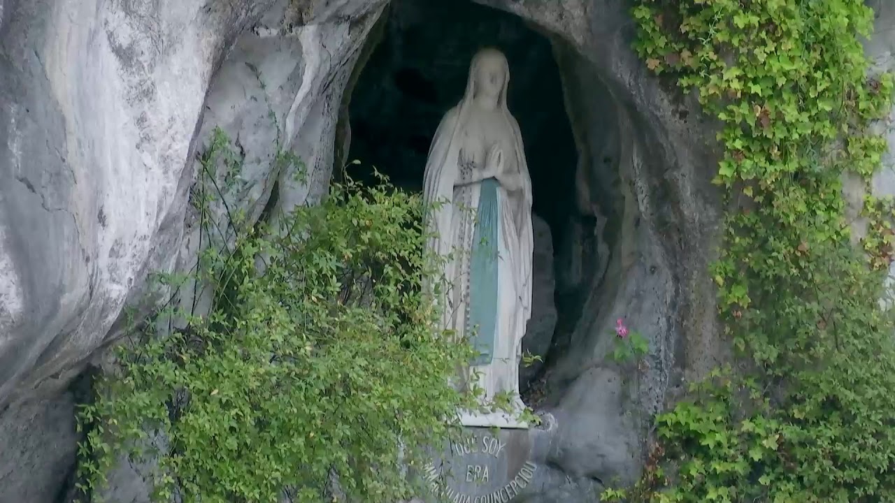 Rosary from Lourdes 06/09/2020 - YouTube
