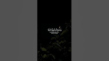 وعسىا ان تكرهوا شيئا وهو خير لكم #سورة البقرة #القارئ عمر شامي #shami1wan