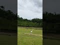 #cricket#crickethighlight #cricketlover  #cricketshortsvideo #cricketvideoupdates #cricketreels