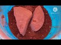 New "Best Earthy Red Dirt Dry Tub Crumbling With Paste Pouring water 