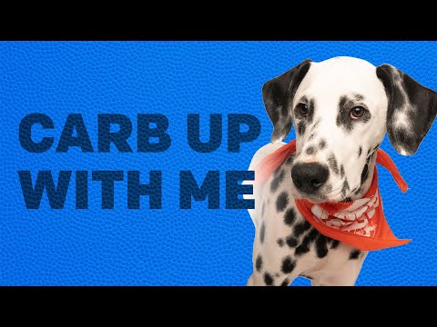 Carb Up with Me | Puppy Bowl Yappy Hours