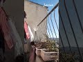 ٢٩ يونيو ٢٠٢٥ ٢٩ يونيو ٢٠٢٥