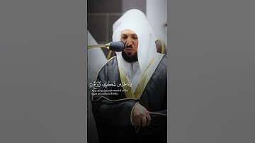 هذا وإن للطاغين لشر مآب | سورة ص  الشيخ ماهر المعيلقي.