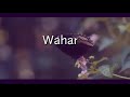 Wahang//Annette x Nathan Lms//Official Lyrical video Mp3 Song