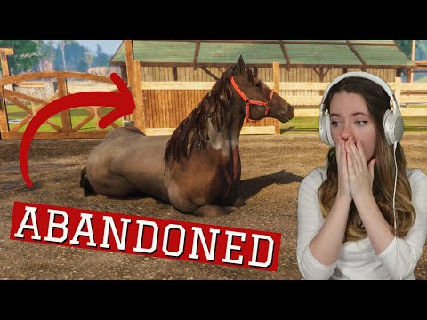 SAVING ABANDONED HORSES - Animal Shelter Horse Rescue | Pinehaven