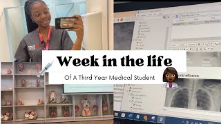 A WEEK IN THE LIFE OF A THIRD YEAR MEDICAL STUDENT | Balance at Medical School