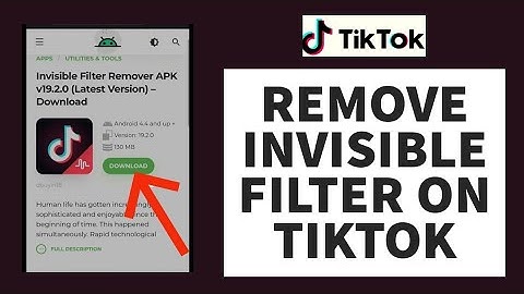 How To Remove Invisible Filter In TikTok (2023) |