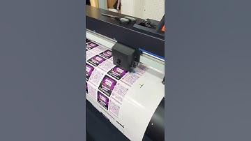 What’s better than Sticker cutting asmr #sticker #stickershop #customstickers #printpire #asmrsounds