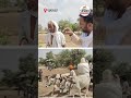 Rajasthan का कुआं बुझा रहा...MP के गांव के लोगों की प्यास #madhyapradesh #rajgarh #patrikaspecial