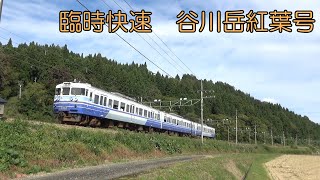 上越線・ほくほく線 (快速 谷川岳紅葉号 115系、E129系、HK100形) 2020.10.18