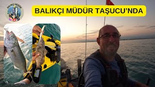 Balikçi Müdür Taşucunda.