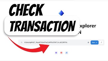 How to Find  Your BROTONs on TON Blockchain with Tonviewer!