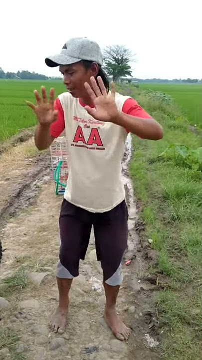 Story wa joget ambyar trbaru//story wa joget santuy disawah