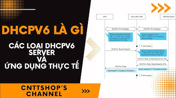 DHCPv6 là gì? Các loại DHCPv6 Server và Ứng dụng trong thực tế