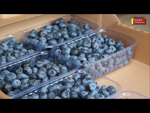 ПіК:Події і Коментарі: Ягідна область: як вирощують плоди та хто може отримати компенсацію за заняття ягідництвом ПіК:Події і Коментарі: Ягідна область: як вирощують плоди та хто може отримати компенсацію за заняття ягідництвом