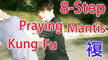 Eight-Step Praying Mantis Kung Fu Application - 複 - Leon Chu (朱思勳)