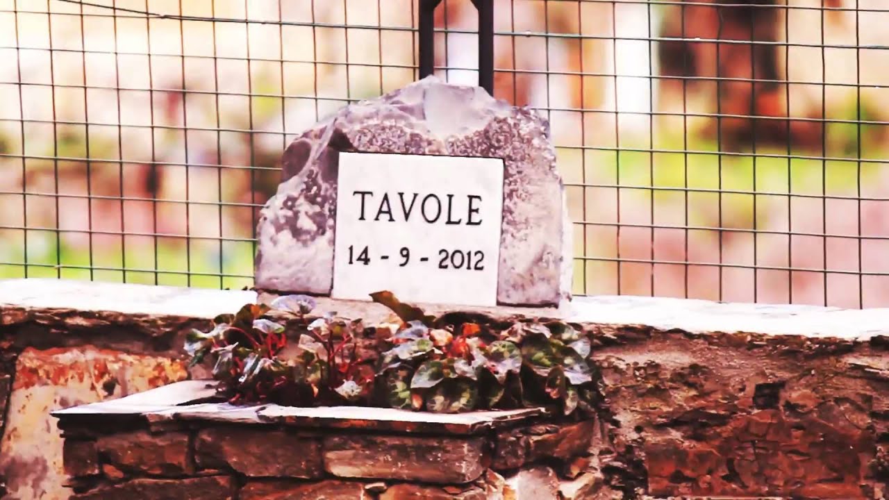 ALEX ANTONOV - Armadio a Specchio (Tripartito) - VIDEO UFFICIALE 2013