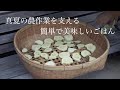 自給暮らしvlog||蒸し暑い夏を乗り切る農家飯|夏野菜の収穫始まりました|#41