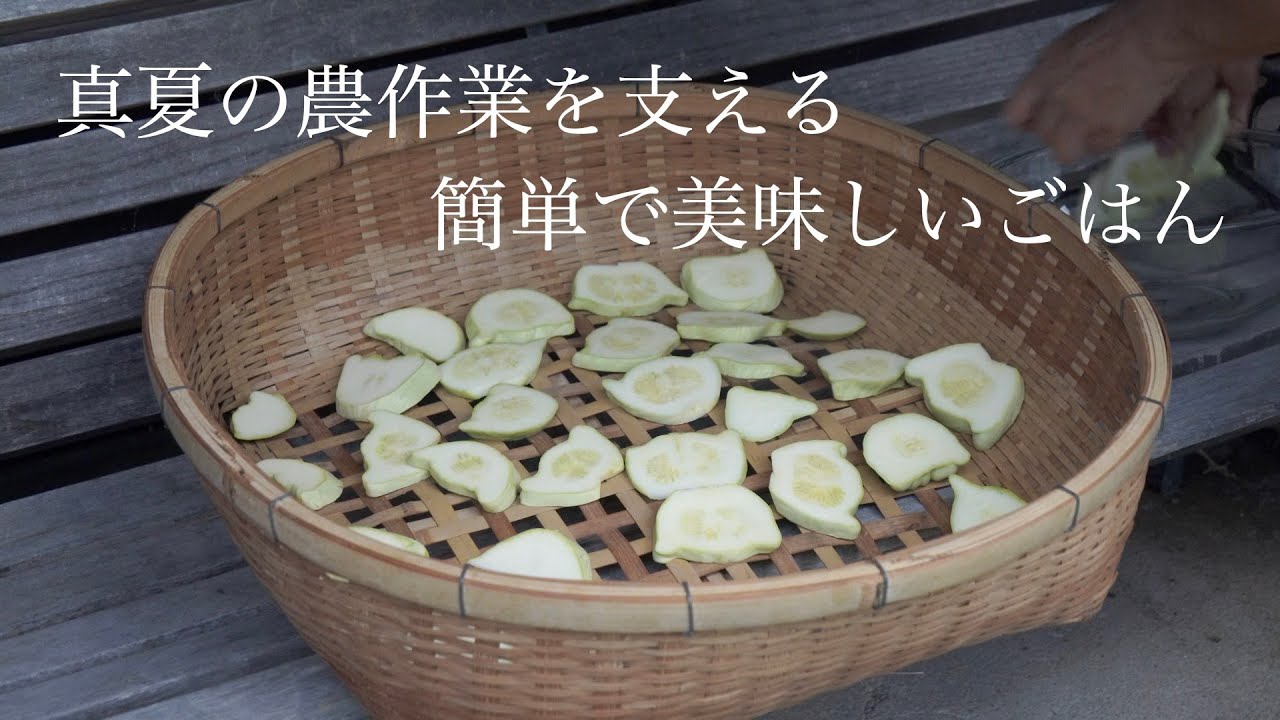 自給暮らしvlog|｜蒸し暑い夏を乗り切る農家飯｜夏野菜の収穫始まりました｜＃41