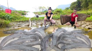 Top video: Using a water pump to catch fish, the best and most attractive fishing and fish traps.