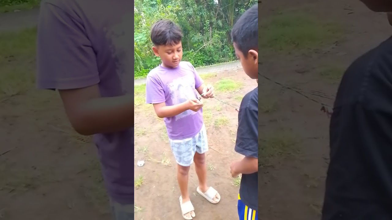 Proses pengumpulan balon mini Cooper ...