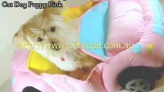 Dog Beds for Winter Season