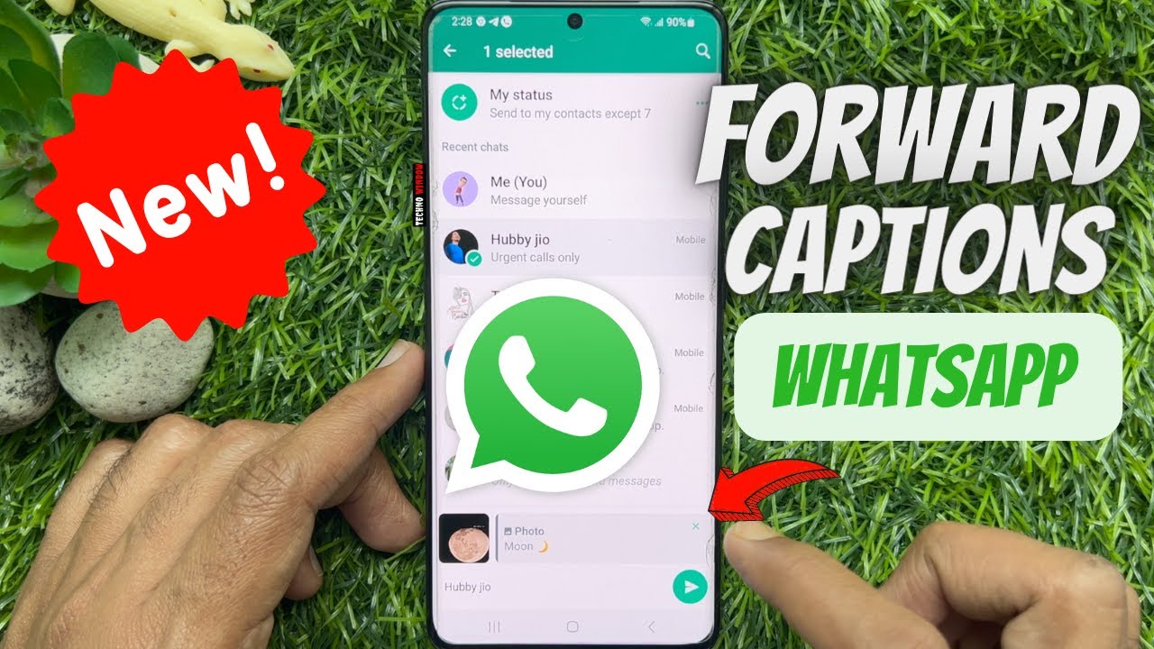 How to Forward Media with and without Captions on WhatsApp