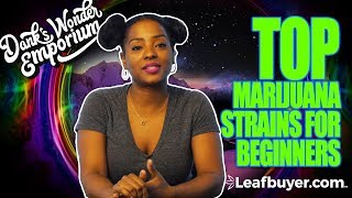 Top Marijuana Strains For Beginners