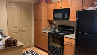 Palomino Apartment Homes A2 1 Bed 1 Bath 737 sqft.