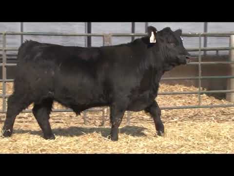 camera iphone 8 plus apk Schiefelbein Farms Lot 136