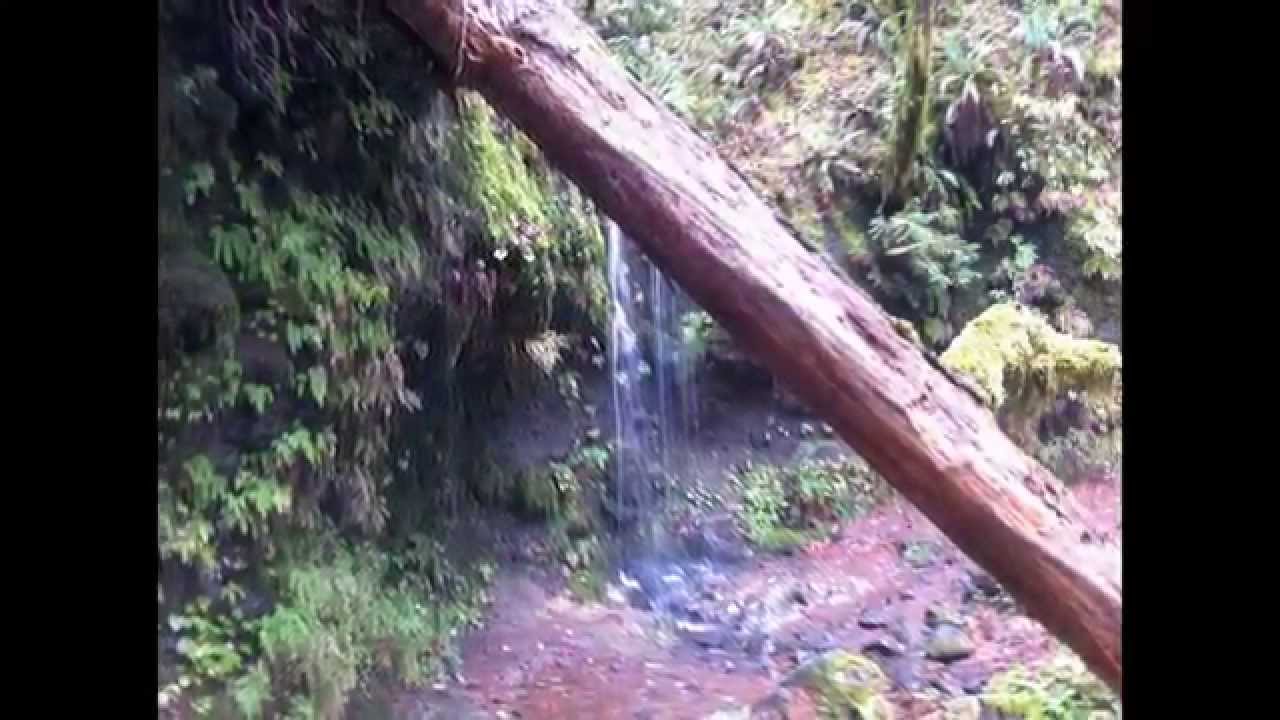 Eagle Creek to Punch Bowl Falls - Hike The Gorge 2013